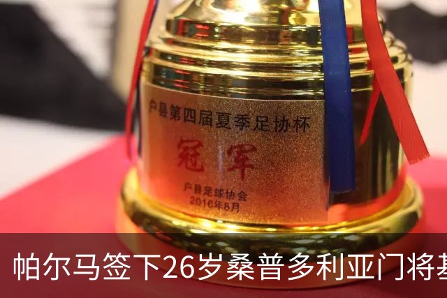 帕尔马签下26岁桑普多利亚门将基多蒂，开启新挑战